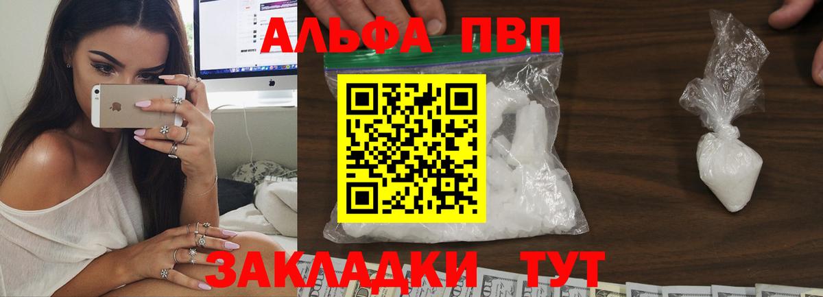 Alfa_PVP СК Тосно