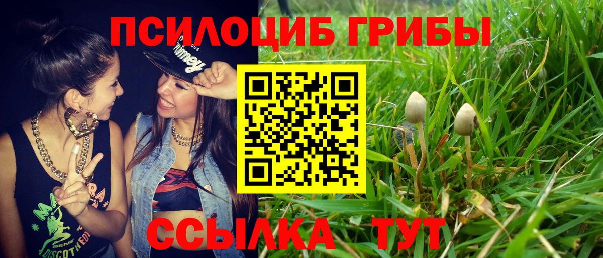 Тосно  Псилоцибиновые грибы мицелий  где можно купить наркотик  Вход с VPN 