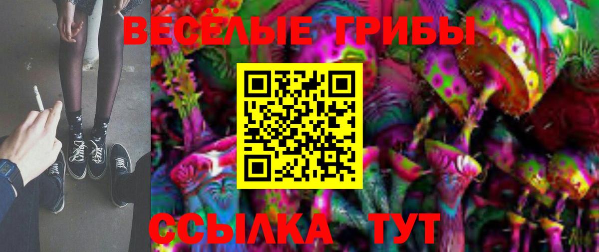 Псилоцибиновые грибы прущие грибы Тосно